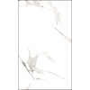 Gresie 60x120cm Carrara Polished