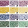 Tapete lichide Vesta 3, 1 kg