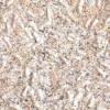 Tapete lichide Bianco 1, 1 kg