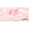 Tapete lichide Rich 5, 1 kg